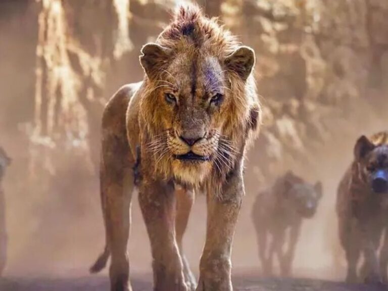 Mufasa, El Rey León: Preguntas, resumen y explicación