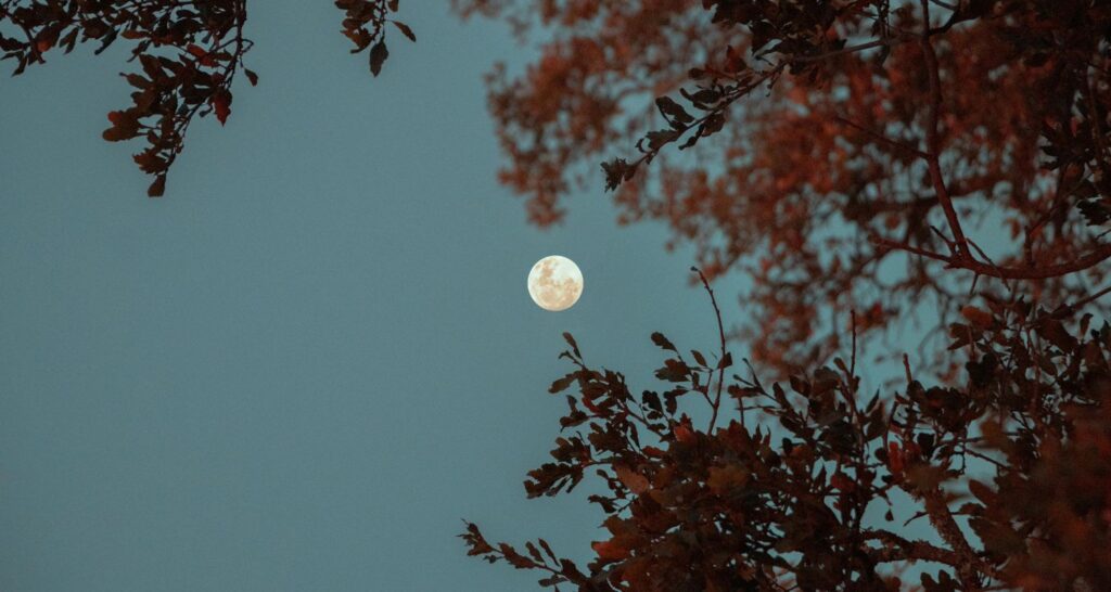 Luna