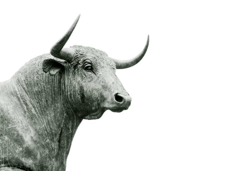 Animal del signo de Tauro