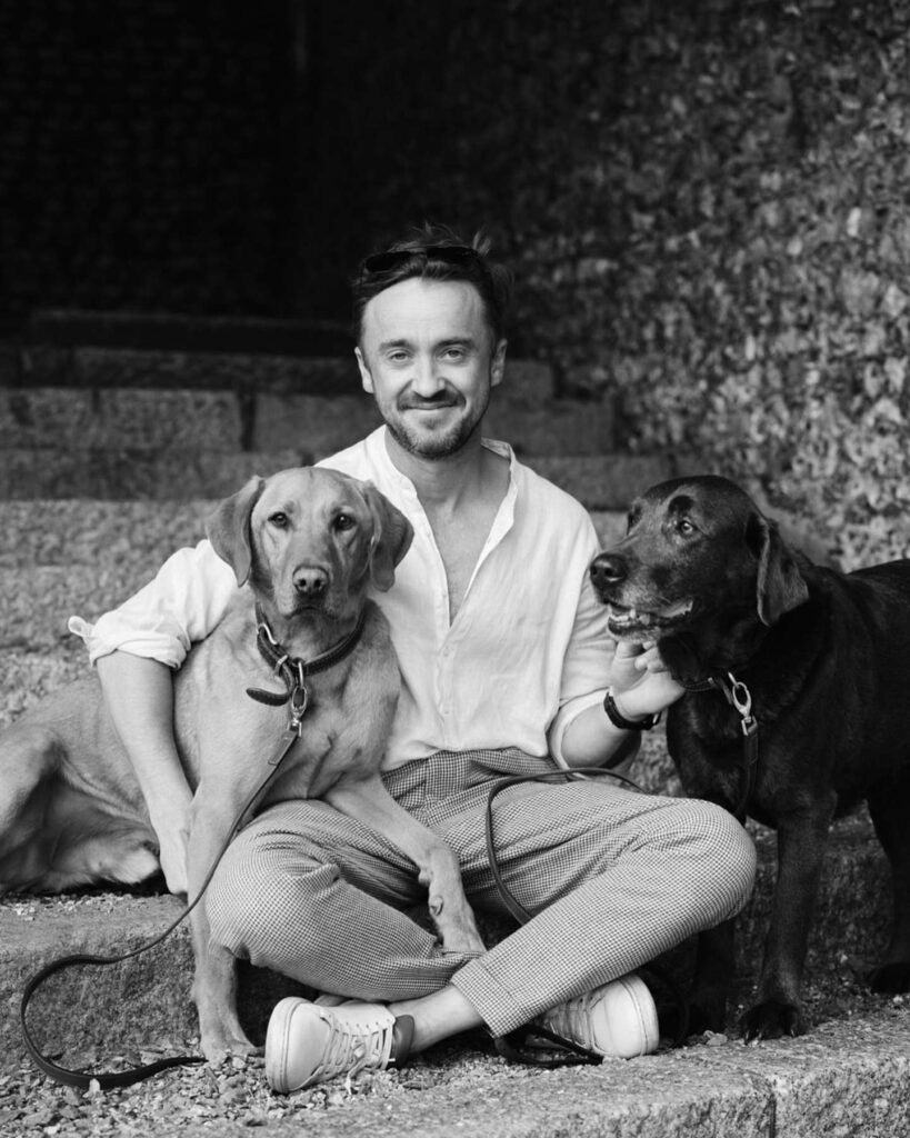 Tom Felton en la actualidad