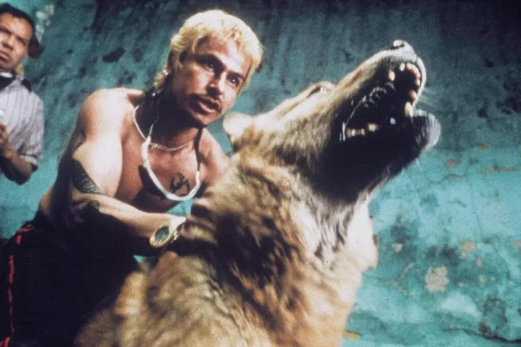 Amores Perros 2000