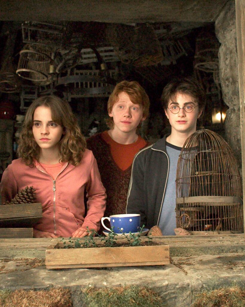 Actores de Harry Potter