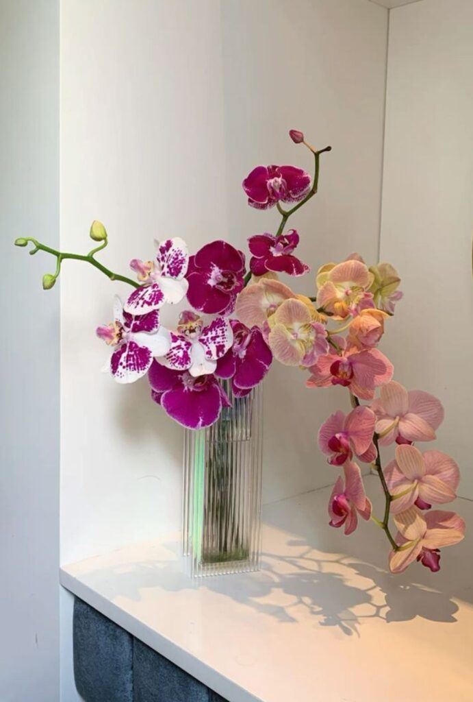 Orquídeas para atraer el amor