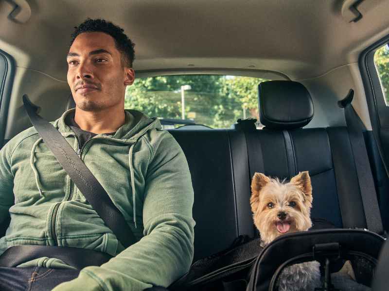 Uber Pet