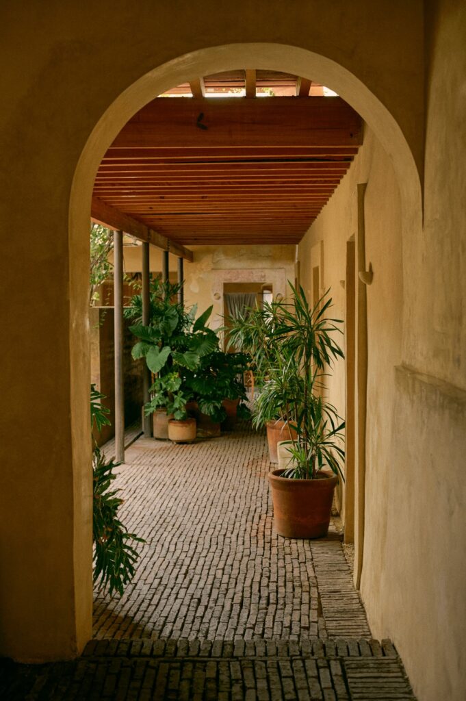 Banana Republic: A Summer Escape to Oaxaca
