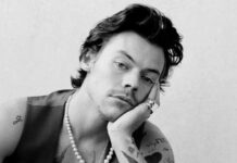 Pleasing Yourself: la línea de juguetes sexuales de Harry Styles