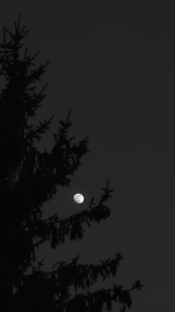 Luna de Ciervo