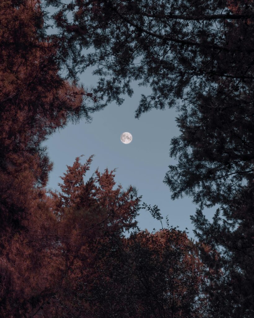 Luna llena de agosto