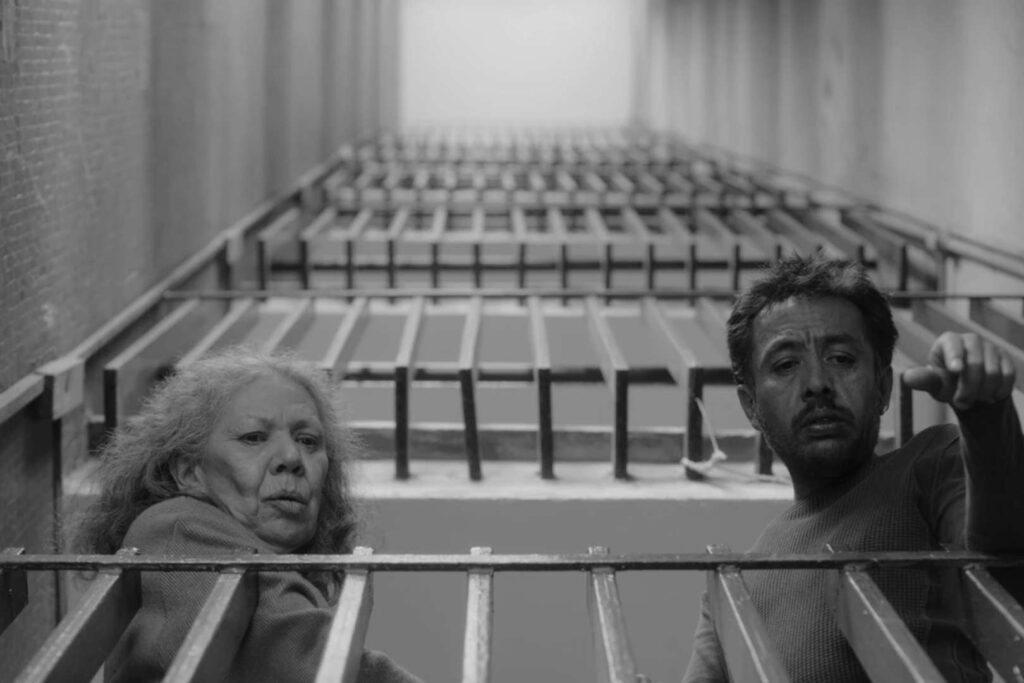 No nos Moverán película Oscar