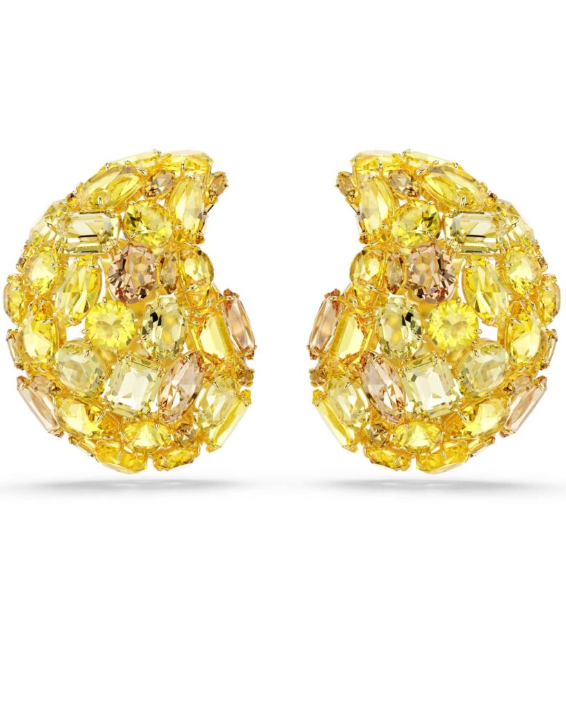 Swarovski Otoño-Invierno 2025