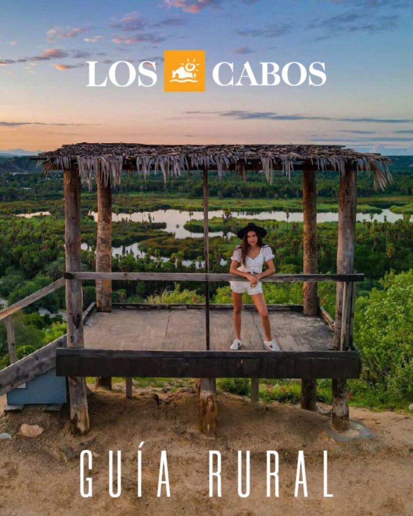 Los Cabos turismo 2025