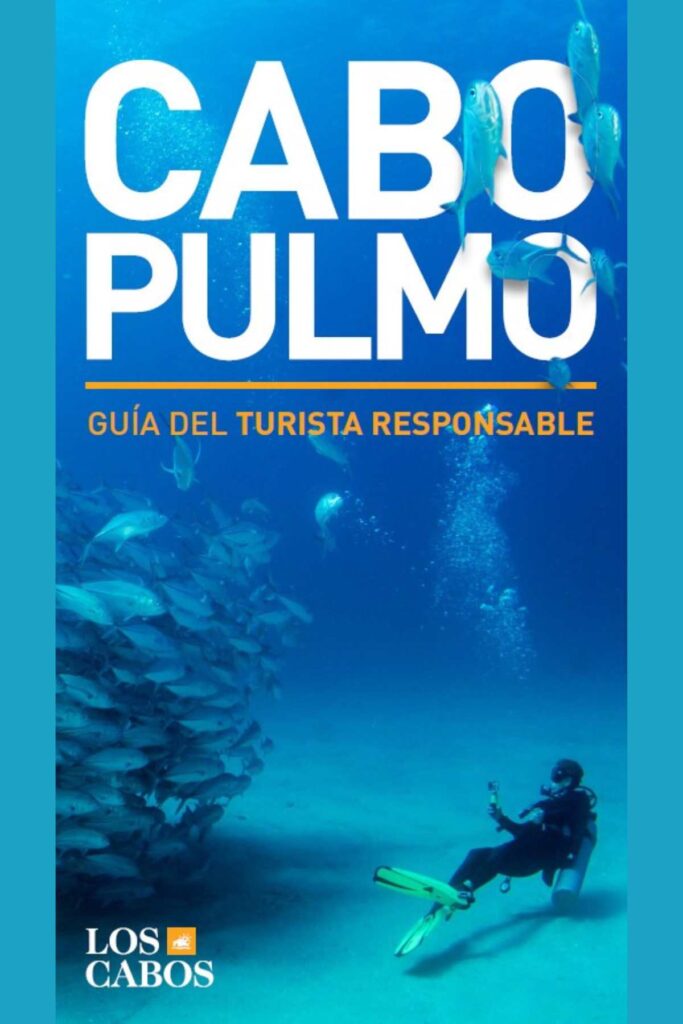 Los Cabos turismo 2025