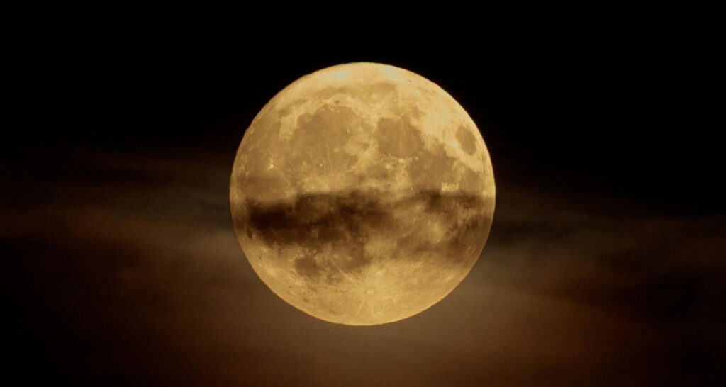 Luna de maíz