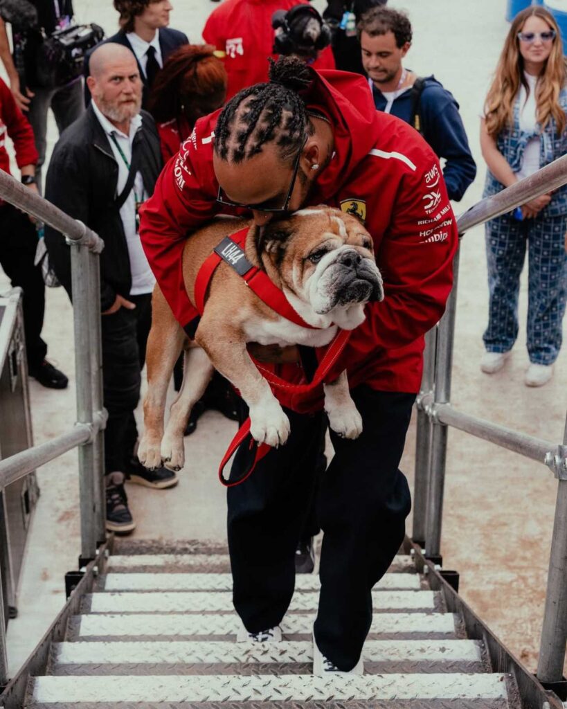 Roscoe, la mascota de Lewis Hamilton