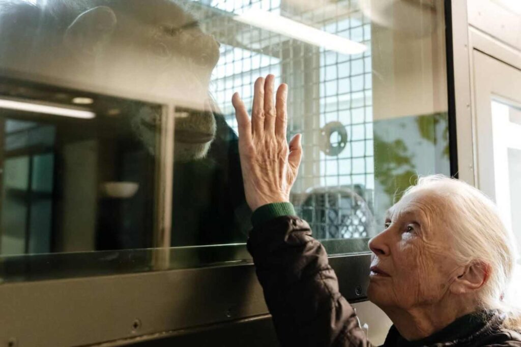 Jane Goodall biografía