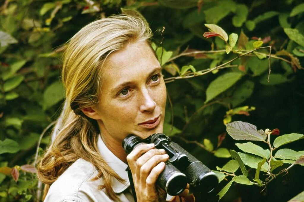 Jane Goodall biografía