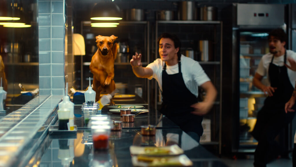 chef