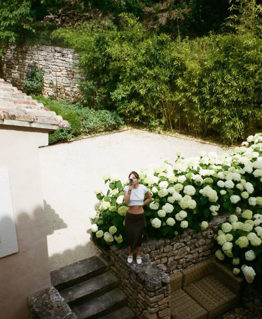 rosa blanca