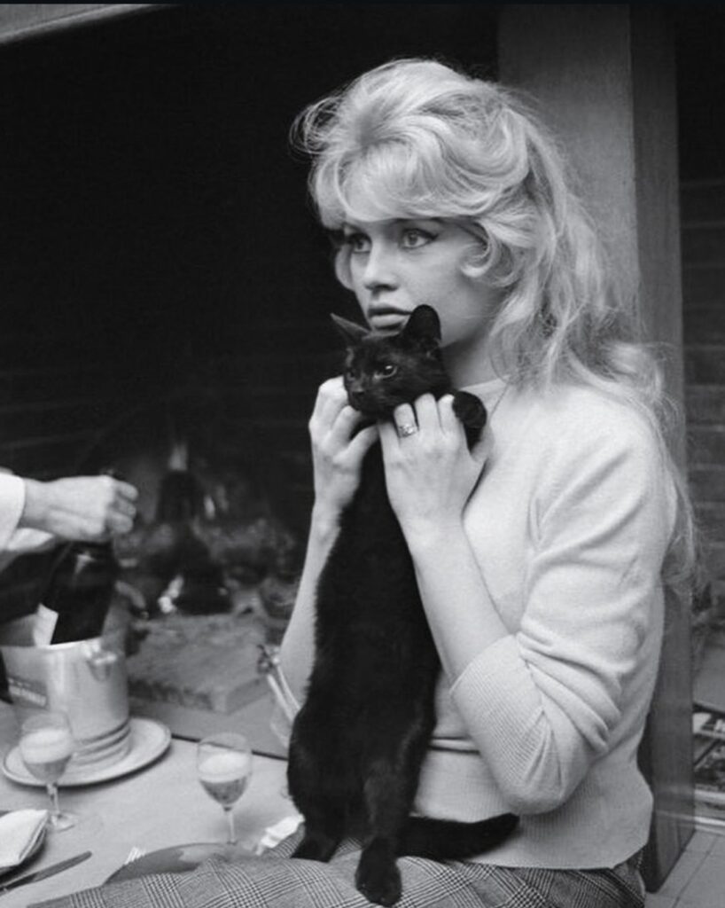 Brigitte Bardot