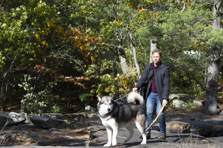 Sobreviviendo el camino a casa