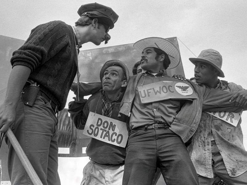 Sundance Film Festival CDMX 2026