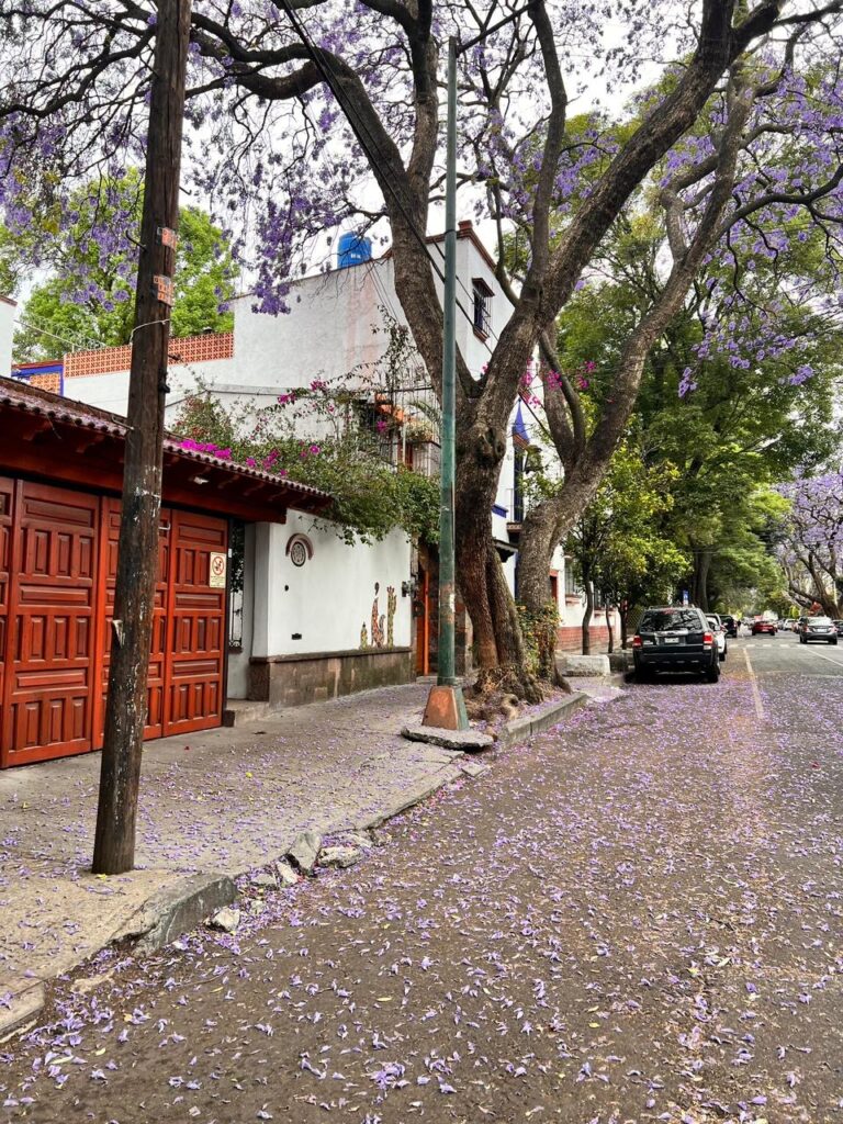 Ciudad de México
