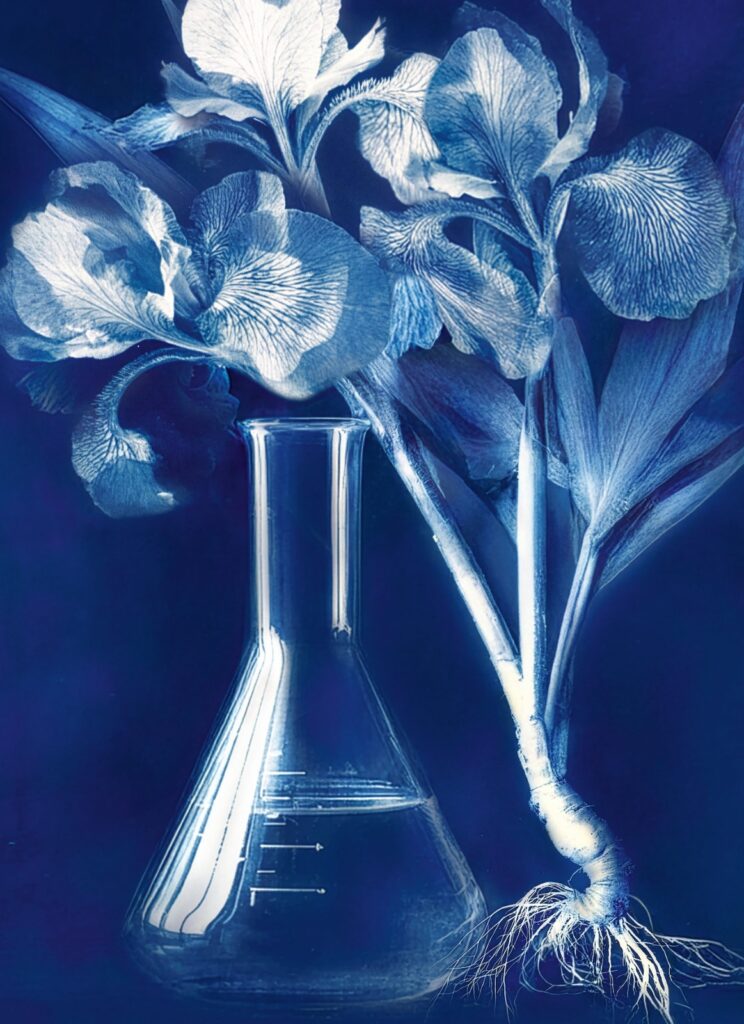 L'Heure Bleue de Guerlain