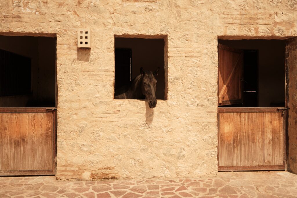 Casa Reyes