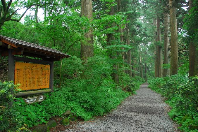 Antigua ruta de Hakone y avenida de cedros, Kanagawa