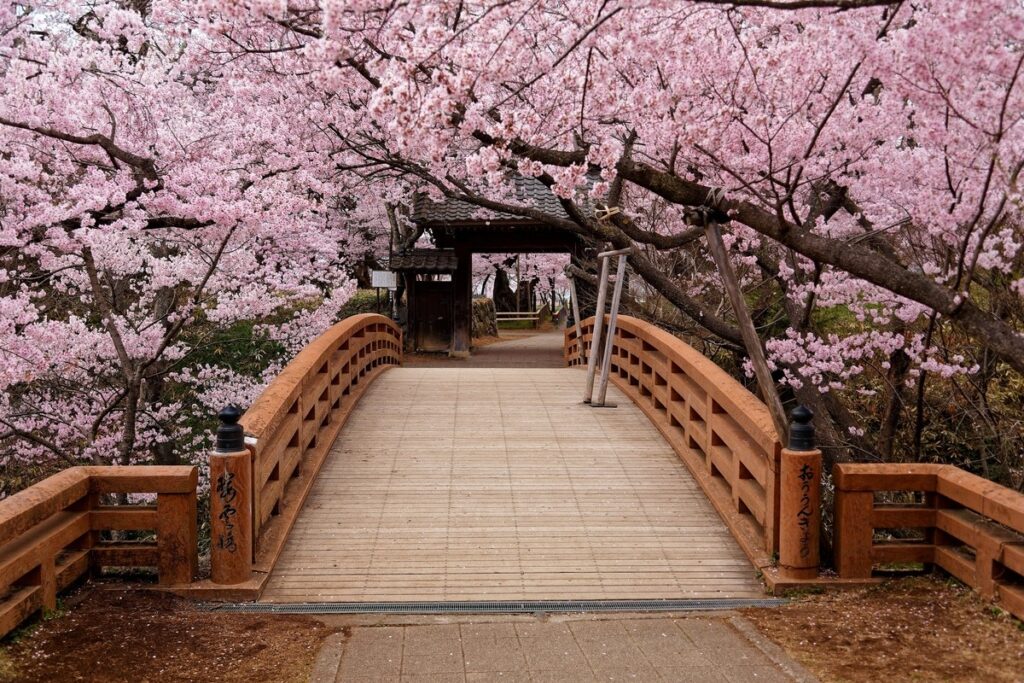 Parque de las Ruinas del Castillo de Takato, Nagano